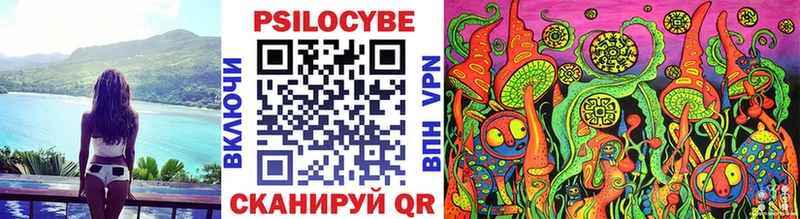 блэк спрут ССЫЛКА  наркота  Вязьма  Псилоцибиновые грибы Cubensis 